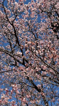 熱川バナナワニ園に投稿された画像（2026/1/17）