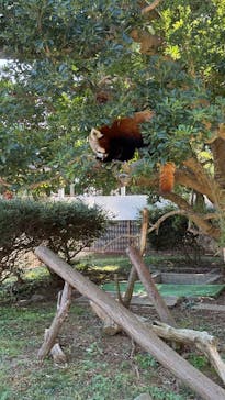 熱川バナナワニ園に投稿された画像（2026/1/17）