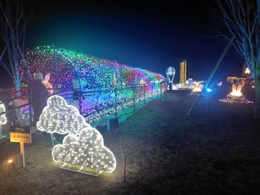 マザー牧場に投稿された画像（2026/1/17）