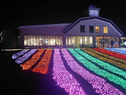 マザー牧場に投稿された画像（2026/1/17）