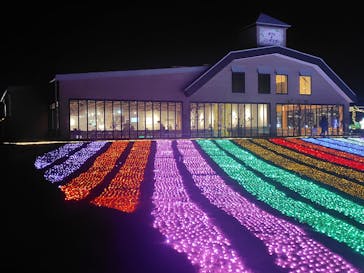 マザー牧場に投稿された画像（2026/1/17）