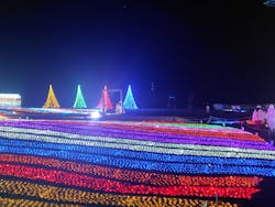 マザー牧場に投稿された画像（2026/1/17）