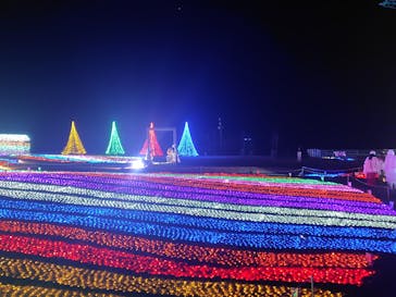 マザー牧場に投稿された画像（2026/1/17）