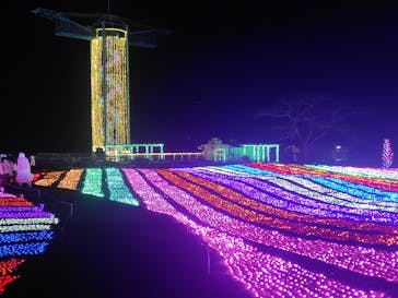 マザー牧場に投稿された画像（2026/1/17）