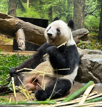 恩賜上野動物園に投稿された画像（2026/1/17）