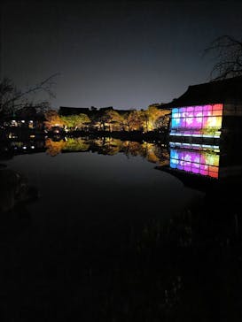 NAKEDヨルマイリ 2025-26 平安神宮に投稿された画像（2026/1/17）