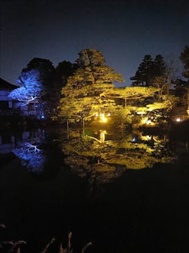 NAKEDヨルマイリ 2025-26 平安神宮に投稿された画像（2026/1/17）