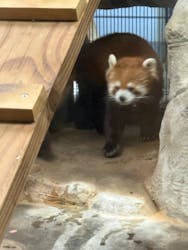 天王寺動物園に投稿された画像（2026/1/18）