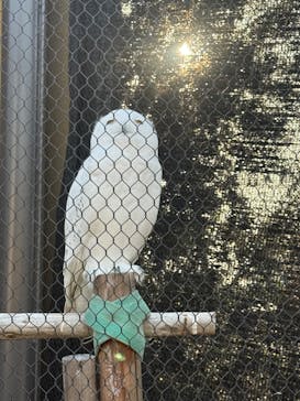 天王寺動物園に投稿された画像（2026/1/18）