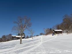 グランデコ・スノーリゾートに投稿された画像（2026/1/18）