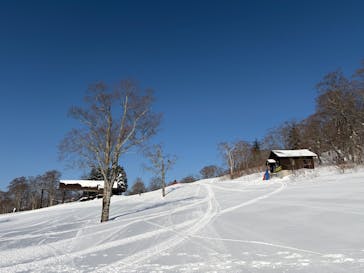 グランデコ・スノーリゾートに投稿された画像（2026/1/18）