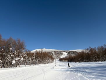 グランデコ・スノーリゾートに投稿された画像（2026/1/18）
