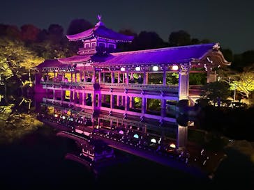 NAKEDヨルマイリ 2025-26 平安神宮に投稿された画像（2026/1/18）