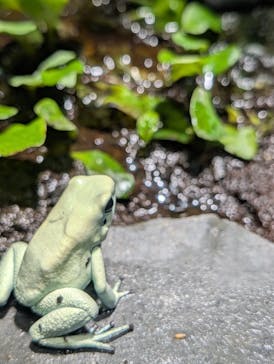 サンシャイン水族館に投稿された画像（2026/1/18）
