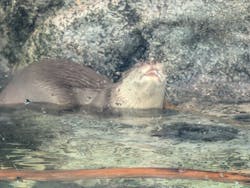 サンシャイン水族館に投稿された画像（2026/1/18）