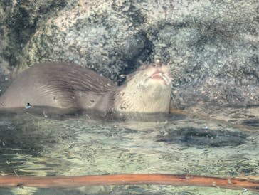 サンシャイン水族館に投稿された画像（2026/1/18）