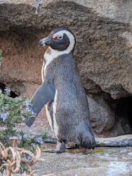 サンシャイン水族館に投稿された画像（2026/1/18）