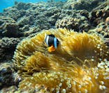 武藤潜水に投稿された画像（2026/1/18）