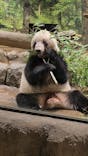 恩賜上野動物園に投稿された画像（2026/1/18）