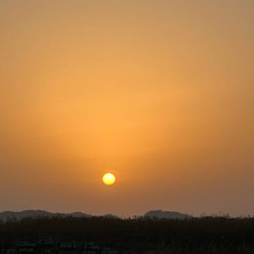 松島熱気球・パラグライダー体験に投稿された画像（2026/1/18）