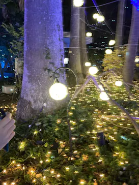 江の島シーキャンドルに投稿された画像（2026/1/18）