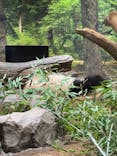 恩賜上野動物園に投稿された画像（2026/1/18）