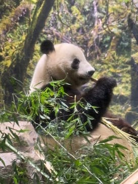 恩賜上野動物園に投稿された画像（2026/1/18）