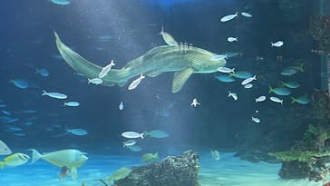サンシャイン水族館に投稿された画像（2026/1/18）