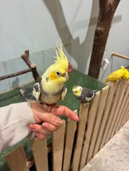 Moff animal cafe MARKIS 福岡ももち店に投稿された画像（2026/1/18）