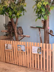 Moff animal cafe MARKIS 福岡ももち店に投稿された画像（2026/1/18）