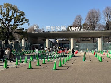 恩賜上野動物園に投稿された画像（2026/1/18）