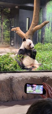 恩賜上野動物園に投稿された画像（2026/1/18）