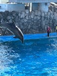 名古屋港水族館に投稿された画像（2026/1/18）