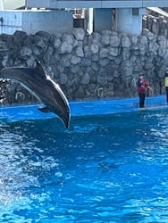 名古屋港水族館に投稿された画像（2026/1/18）