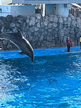 名古屋港水族館に投稿された画像（2026/1/18）