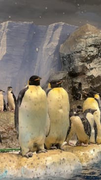 名古屋港水族館に投稿された画像（2026/1/18）