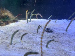 名古屋港水族館に投稿された画像（2026/1/18）