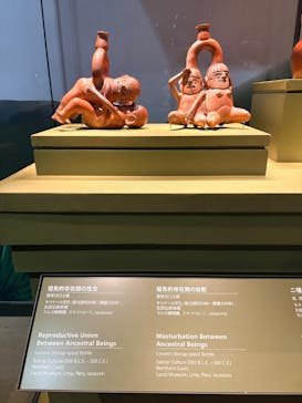 CREVIA マチュピチュ展／CREVIA MACHU PICCHU AND THE GOLDEN EMPIRES OF PERUに投稿された画像（2026/1/18）