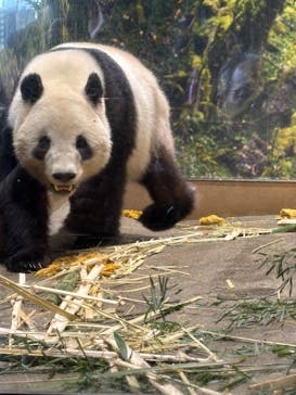 恩賜上野動物園に投稿された画像（2026/1/18）