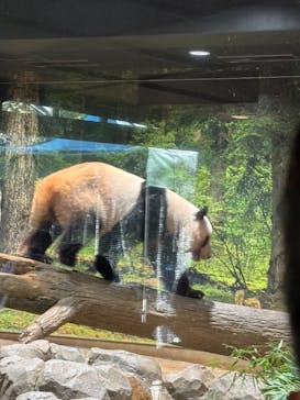 恩賜上野動物園に投稿された画像（2026/1/18）