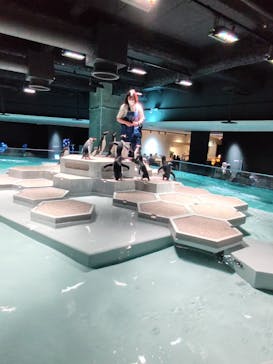 AOAO SAPPOROに投稿された画像（2026/1/18）