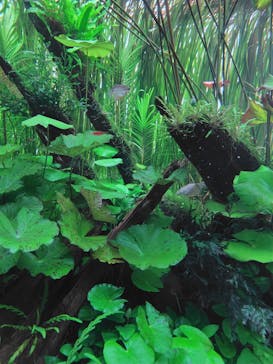 AOAO SAPPOROに投稿された画像（2026/1/18）