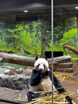 恩賜上野動物園に投稿された画像（2026/1/18）