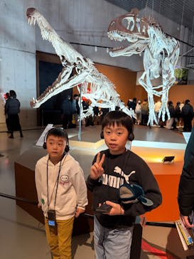 特別展「大絶滅展―生命史のビッグファイブ」に投稿された画像（2026/1/18）