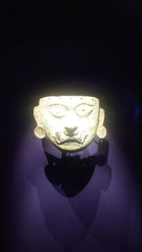 CREVIA マチュピチュ展／CREVIA MACHU PICCHU AND THE GOLDEN EMPIRES OF PERUに投稿された画像（2026/1/18）