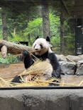 恩賜上野動物園に投稿された画像（2026/1/18）