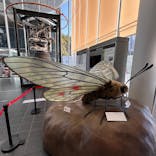 特別展「昆虫MANIAC」（名古屋会場）に投稿された画像（2026/1/18）