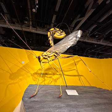 特別展「昆虫MANIAC」（名古屋会場）に投稿された画像（2026/1/18）