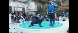 サンシャイン水族館に投稿された画像（2026/1/18）