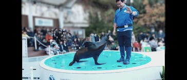 サンシャイン水族館に投稿された画像（2026/1/18）
